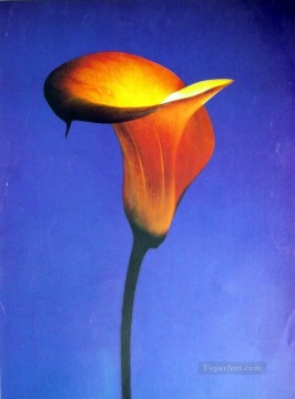 xsh0399b 写真の花から現実的 Oil Paintings